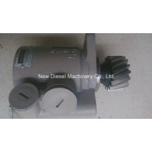 Weichai Diesel Engine Spare Parts Hydro Pump